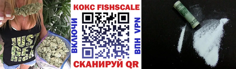 мега как зайти  Отрадная  КОКАИН FishScale 
