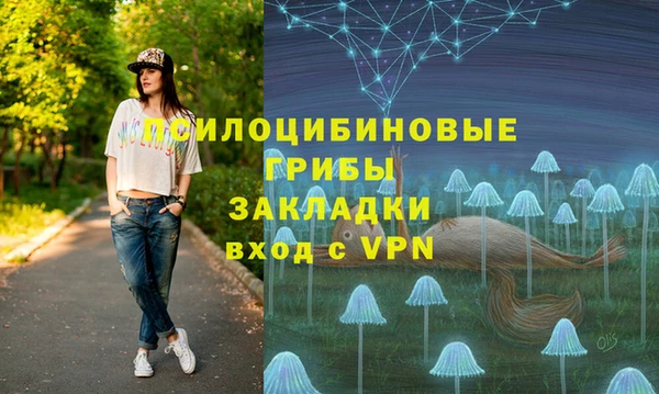 гидропоника Абаза