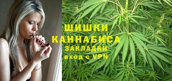 гидропоника Абаза