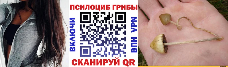 Галлюциногенные грибы GOLDEN TEACHER  Отрадная 